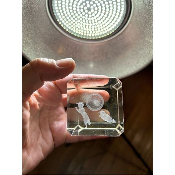 Vintage Bird Cage Bubblegram Glass Paperweight, Vitrograph 3D Laser Etched Glass - Picture 6 of 12